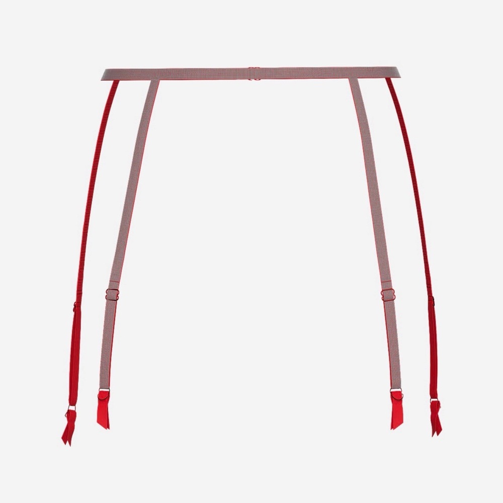Victoria's Secret Red and Pink Garter Belt